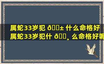 属蛇33岁犯 🐱 什么命格好（属蛇33岁犯什 🌸 么命格好呢）